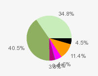 Pie chart: in table form below