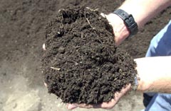 compost