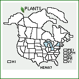 Distribution of Helianthus ×ambiguus (A. Gray) Britton (pro sp.) [divaricatus × giganteus]. . 