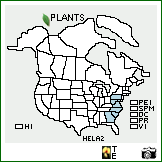 Distribution of Helianthus laevigatus Torr. & A. Gray. . Image Available. 