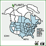 Distribution of Helianthus tuberosus L.. . Image Available. 