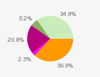 Pie chart: in table form below