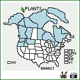 Distribution of Salix arctica Pall.. . Image Available. 