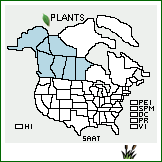 Distribution of Salix athabascensis Raup. . 