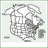 Distribution of Salix atrocinerea Brot.. . 