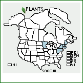 Distribution of Salix ×conifera Wangenh. (pro sp.) [discolor × humilis]. . 