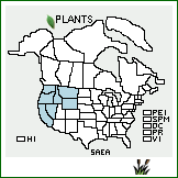 Distribution of Salix eastwoodiae Cockerell ex A. Heller. . 