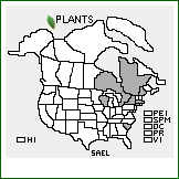 Distribution of Salix elaeagnos Scop.. . 