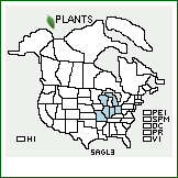 Distribution of Salix ×glatfelteri C.K. Schneid. [amygdaloides × nigra]. . 