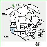 Distribution of Salix jepsonii C.K. Schneid.. . 