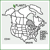 Distribution of Salix myrsinifolia Salisb.. . 