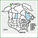 Distribution of Salix ×pedunculata Fernald (pro sp.) [discolor × pellita]. . 