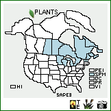 Distribution of Salix pellita Andersson. . Image Available. 