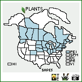Distribution of Salix petiolaris Sm.. . Image Available. 
