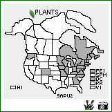 Distribution of Salix purpurea L.. . Image Available. 