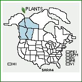 Distribution of Salix raupii Argus. . 