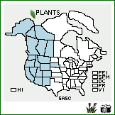 Distribution of Salix scouleriana Barratt ex Hook.. . Image Available. 