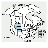 Distribution of Lupinus depressus Rydb.. . 