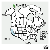 Distribution of Lupinus duranii Eastw.. . Image Available. 