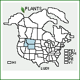 Distribution of Lupinus evermannii Rydb.. . 