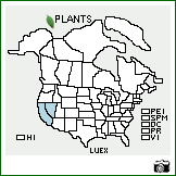 Distribution of Lupinus excubitus M.E. Jones. . Image Available. 