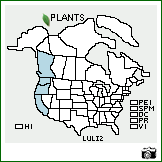 Distribution of Lupinus littoralis Douglas. . Image Available. 