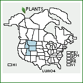 Distribution of Lupinus monticola Rydb.. . 