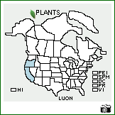 Distribution of Lupinus onustus S. Watson. . Image Available. 