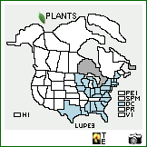 Distribution of Lupinus perennis L.. . Image Available. 