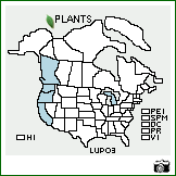 Distribution of Lupinus polycarpus Greene. . Image Available. 