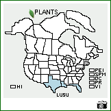 Distribution of Lupinus subcarnosus Hook.. . Image Available. 