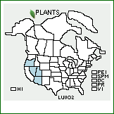 Distribution of Lupinus volutans Greene. . 