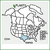 Distribution of Ratibida peduncularis (Torr. & A. Gray) Barnhart. . 