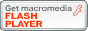 Get Flash player Logo