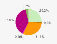 Pie chart: in table form below