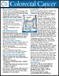 Screen for Life Detailed Facts on Screening