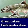 Great Lakes Fish Restoration