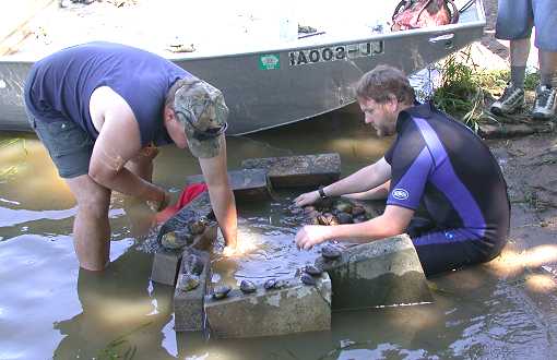 Random photos of employees working with mussels - Photo credit:  U.S. Fish and Wildlife Service