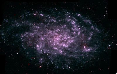 The Swift ultraviolet image shows the Triangulum Galaxy.