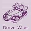 Drive Wise