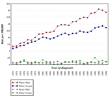 Graph shows rate per 1000,000 from 1973 through 1998. Rate is steadily increasing for white/males and white/females.  Rate is constant for black/males and black/females.