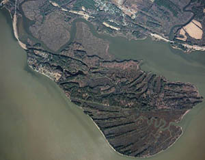 [photo] Aerial view of James Island