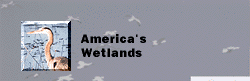 Americas Wetlands