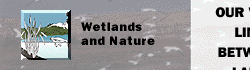Wetlands and Nature