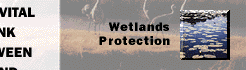 Wetlands Protection