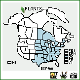 Distribution of Scutellaria parvula Michx. var. missouriensis (Torr.) Goodman & C.A. Lawson. . Image Available. 