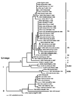 Figure. Phylogenetic analysis of WNV-hISR2000 E gene sequence....