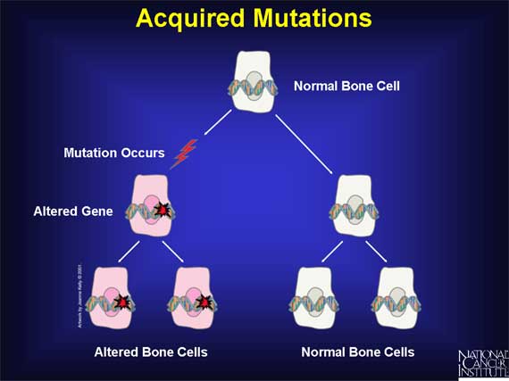 Acquired Mutations
