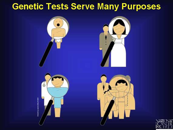 Genetic Tests Serve Many Purposes