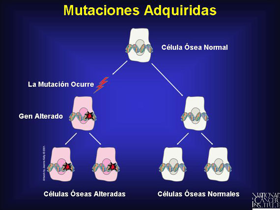 Mutaciones Adquiridas